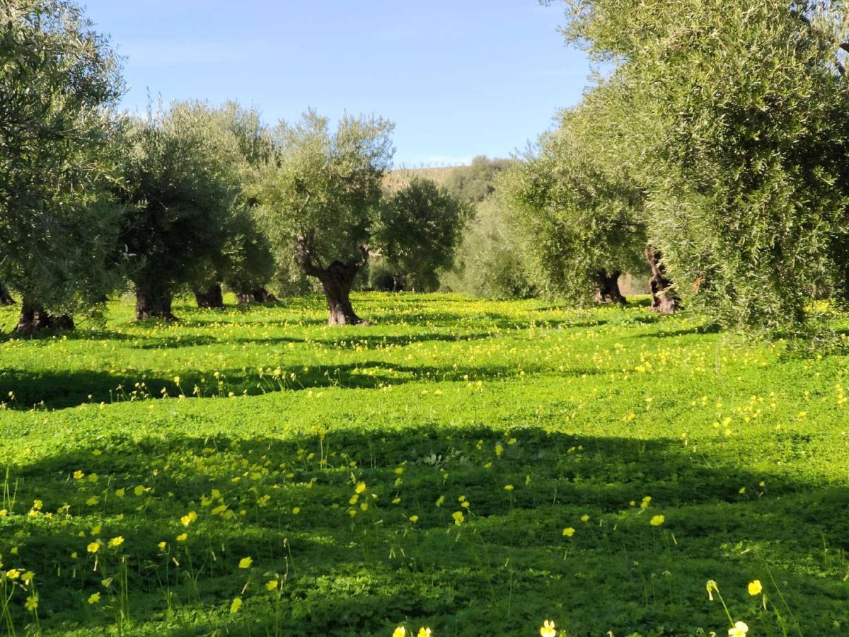 Finca Las Rosas De Santa Ana Villamartin  Exterior photo