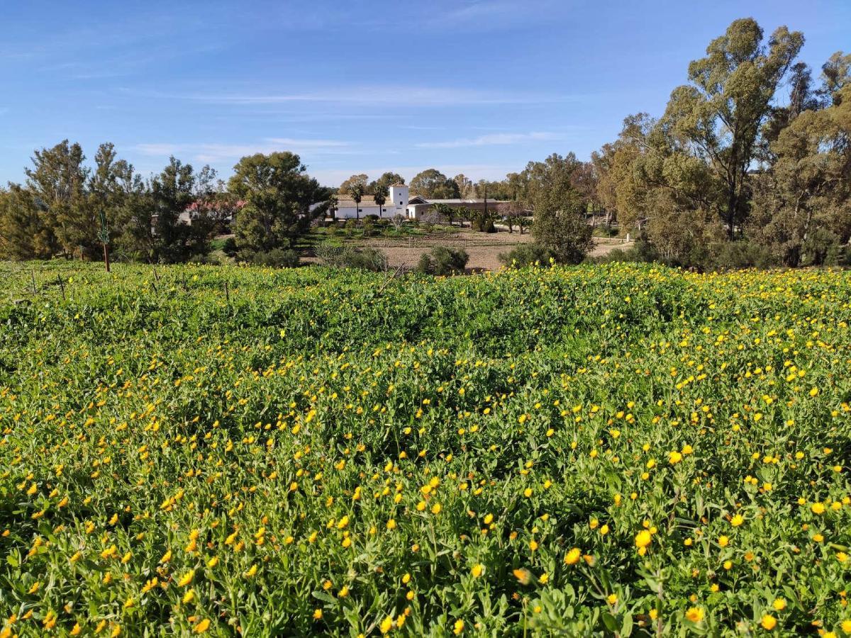 Finca Las Rosas De Santa Ana Villamartin  Exterior photo